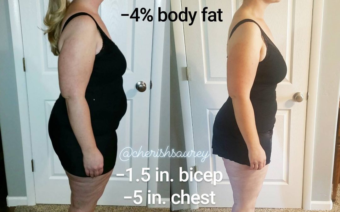 Obese Mom 80 Day Obsession